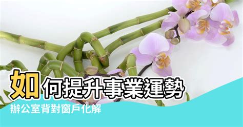 辦公室 背靠窗化解|【風水 辦公椅背對窗子 化解】